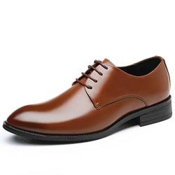 NUURO Anzugschuhe Herren Schwarz Lederschuhe Klassischer Business Schnürschuhe Glattleder Derby Hochzeit Schuhe,Braun,38 EU von NUURO