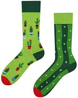Nanushki unisex Verrückte Lustige Socken mit Motiv Kaktus für Herren und Damen (Kaktus Sockulent, 36-39) von Nanushki