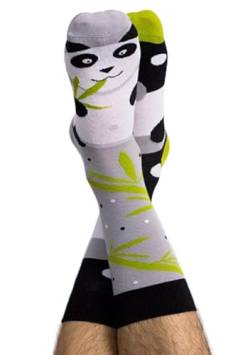 Nanushki unisex lustige verrückte Motiv Socken - Lazy Panda - fauler Bär (Lazy Panda, 36-39) von Nanushki