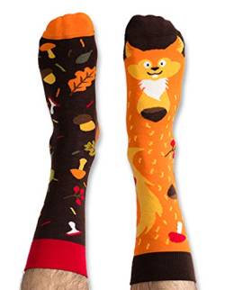 Nanushki unisex lustige verrückte Motiv Socken Madame Nutty Eichhörnchen (40-43 EU, Madame Nutty) von Nanushki