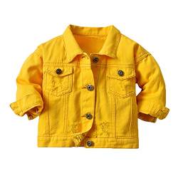 Natashas Baby Mädchen Jungen Jeansjacke Mantel Kleinkinder Langarm Denim Tops Kleidung Frühling Herbst Casual Outwear (Golden, 110-116) von Natashas