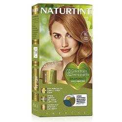 Naturtint Biobased | Haarfarbe Oohne Ammoniak | 8C Kupferblond | Hoher Anteil an natürlichen Inhaltsstoffen | 170 ml von Naturtint