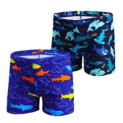 NautySaurs 2er-Pack Jungen Badehose 1–10 Jahre Kinder Bademode Dinosaurier Hai Shorts, Hai-Königsblau und Marineblau, 2-4 Jahre von NautySaurs