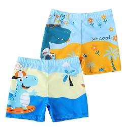 NautySaurs 2er-Pack Jungen Badeshorts 5-13 Jahre große Jungen Bademode Dinosaurier Kinder Badehose, Strand- und Surf-Dinosaurier, 2-3 Jahre von NautySaurs