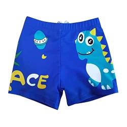 NautySaurs Jungen Badehose 2-11 Jahre Baby Jungen Bademode Kinder Badeshorts mit Cartoon Dinosaurier, Dinosaurier, 2-3 Jahre von NautySaurs