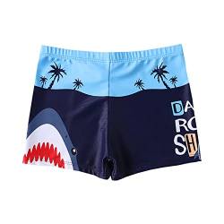 NautySaurs Jungen Badehose 2-11 Jahre Baby Jungen Bademode Kinder Badeshorts mit Cartoon Dinosaurier, Hai, 2-3 Jahre von NautySaurs