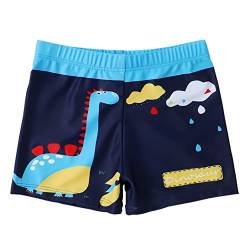 NautySaurs Jungen Badehose 2-11 Jahre Baby Jungen Bademode Kinder Badeshorts mit Cartoon Dinosaurier, Marineblauer Dinosaurier, 2-3 Jahre von NautySaurs