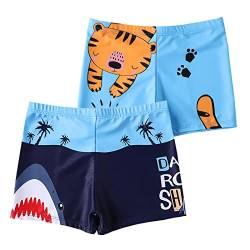 NautySaurs Jungen Badehose 2-11 Jahre Baby Jungen Bademode Kinder Badeshorts mit Cartoon Dinosaurier, Set 1, 2-3 Jahre von NautySaurs