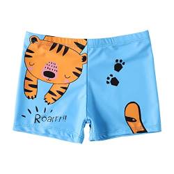 NautySaurs Jungen Badehose 2-11 Jahre Baby Jungen Bademode Kinder Badeshorts mit Cartoon Dinosaurier, Tiger, 3-5 Jahre von NautySaurs