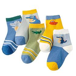 NautySaurs Pack von 5 Jungen Socken Herbst Winter Sport Baumwolle Elastische Mitte Waden Socken für Kleinkind Kinder Alter 1-8 Jahre, Krokodil, 2-4 Jahre von NautySaurs