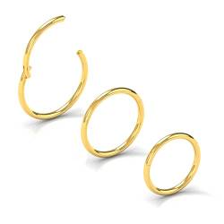 NewkeepsR 3PCS-0,8mm gold eloxierte klappbare Clicker-Nasenreifenringe, 20 Gauge 316L Stahl Nahtlose Segment-Schwellenohrringe Piercing-5/6/7mm von NewkeepsR