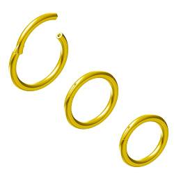 NewkeepsR 3PCS-1,2mm gold eloxierte klappbare Clicker-Nasenreifenringe, 16 Gauge 316L Stahl Nahtlose Segmentschläferohrringe Piercing-5/6/7mm von NewkeepsR