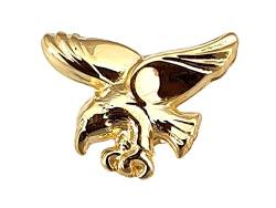 Herrenohrring Adler Stecker Gold 585 Ohrring für Herren Greifvogel von Nicht Zutreffend