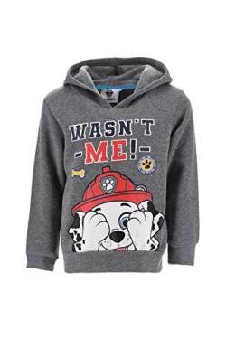 Nickelodeon Paw Patrol Jungen Sweatshirt (Grau,3 Jahre) von Nickelodeon