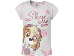 Paw Patrol Skye und Everest T-Shirt (DE/NL/SE/PL, Numerisch, 98, Regular, grau) von Nickelodeon