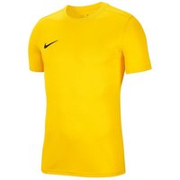 Nike Fußballtrikot Park VII Trikot kurzarm von Nike