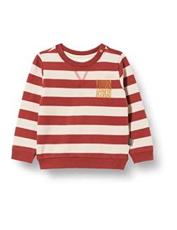 Noppies Baby Baby-Jungen B Sweater LS Rocca Pullover, Henna-P635, 50 von Noppies