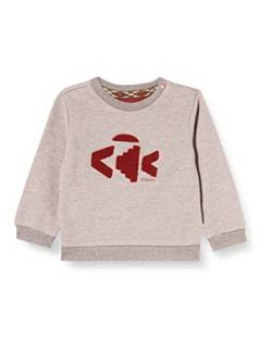 Noppies Baby Baby-Jungen B Sweater LS Ruvo Pullover, RAS1211 Brown Melange-P798, 86 von Noppies