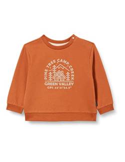 Noppies Baby Baby-Jungen Boys Sweater Long Sleeve Jalna Pullover, Bombay Brown-P485, 62 von Noppies