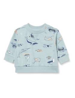 Noppies Baby Boys Sweater Bergen Long Sleeve Allover Print von Noppies