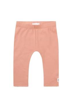 Noppies Leggings Needham - Farbe: Rose Dawn - Größe: 56 von Noppies