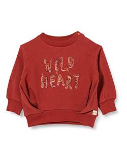 Noppies Mädchen G Sweater ls Memel Sweatshirt, Rosewood-P610, 74 von Noppies