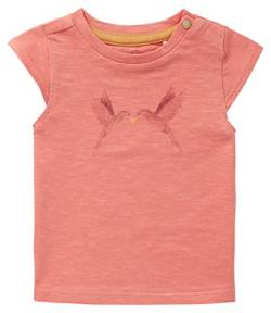 T-Shirt Ambon - Farbe: Terra Cotta - Größe: 68 von Noppies