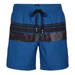 O'Neill Herren PM CALI Stripe Shorts Schwimm-Slips, Mehrfarbig (5990 Blue AOP W/Schwarz), S von O'Neill