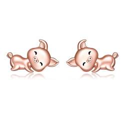 ONEFINITY Schwein Ohrringe 925 Sterling Silber Schwein Ohrstecker Süßes Schwein Schmuck Geschenk Für Damen Mädchen Tochter von ONEFINITY