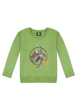 ONOMATO! Jurassic World Beta Sweatshirt Pullover Pulli Sweater Grün, Größe Kids:128 von ONOMATO!