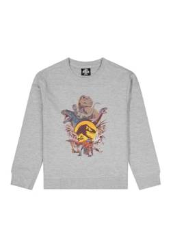 ONOMATO! Jurassic World Dinosaurier Sweat-Shirt Pullover Sweater, Größe Kids:146-152 von ONOMATO!