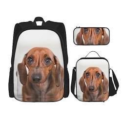 OUSIKA Rucksack mit traurigem Hunde-Aufdruck, lässiger Tagesrucksack, Lunchbox, Federmäppchen, Kombinationsset für Reisen, Schwarz, Einheitsgröße, Rucksack, Freizeit, Reisen, Schwarz , Einheitsgröße, von OUSIKA