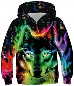 Ocean Plus Jungen Kapuzenpullover Bunt Teens Hoodie Kinder Langarm Pulli mit Kapuzen Sweatshirt Pullover (L (Körpergröße: 145-150cm), Farbiger Wolf) von Ocean Plus