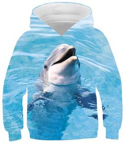 Ocean Plus Jungen Kinder Sweatshirt mit Langen Ärmeln Kapuzenpullover mit Druck Mädchen Spot Pullover (13-14 Jahre/150-160 cm, Delfin) von Ocean Plus
