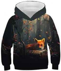 Ocean Plus Jungen Sweatshirt Kätzchen Kapuzenpullover Galaxis Hoodie Kinder Kapuzenpulli mit Kapuzen (XS (Körpergröße: 115-120cm), Wald und Rotfuchs) von Ocean Plus