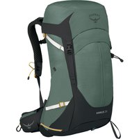 Osprey Sirrus 26 Succulent Green von Osprey