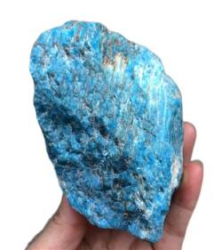 PAJPXPCD 70–300 g natürlicher, seltener blauer Apatit-Kristall, Spitzen-Clusterstein, Kunsthandwerk (Size : 180-200g) von PAJPXPCD