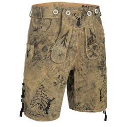 PAULGOS Herren Trachten Lederhose + Träger, Echtes Leder, Kurz in 3 Farben Gr. 44-60 HK5 Antik (Krokodilgrün, 58) von PAULGOS