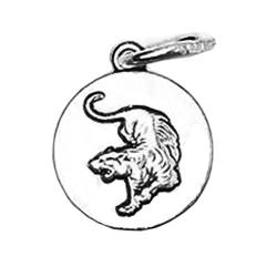 PAURO Herren Damen Edelstahl Chinesisches Tierkreiszeichen Siegel Münze Anhänger Halskette mit Kette Tiger von PAURO