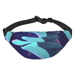 dolphin Bauchtasche, Unisex, wasserabweisend, leicht, Gürteltasche für Reisen, Sport, Wandern, Schwarz, Einheitsgröße, Schwarz , Einheitsgröße von PEIXEN