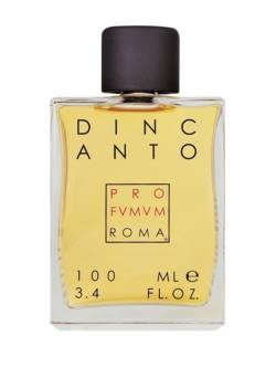 Pro Fvmvm Roma Dincanto Eau de Parfum 100 ml von PRO FVMVM ROMA
