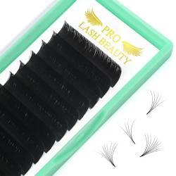 Easy Fan Lashes D-0.03-8 Selbstfächernde Wimpern für Volumentechnik C D curl Wimpernverlängerung 8-15 mm Länge Volumen Wimpern (D-0.03,8 mm) von PRO LASHBEAUTY