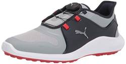 PUMA Herren Ignite Fasten8 Disc Golfschuh, Quarry Blazer, silberfarben/Marineblau, 43 EU von PUMA