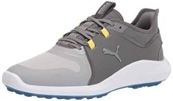 PUMA Herren Ignite Fasten8 Golfschuh, High Rise Silver Silent Shade, 41 EU von PUMA