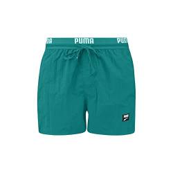 PUMA Herren Shorts, Teal, S von PUMA