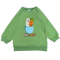 Pac & Roty® Baby Kleinkind Sweatshirt Pullover mit Tiermotiv 80% Biobaumwolle Oekotex Langarm Unisex Jungen Mädchen Grün 1-6 Jahre (116) von Pac & Roty