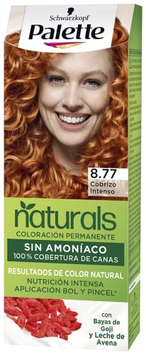 Palette Nc 8.77 Cobrizo Intens Pincel Es von Palette