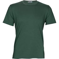 Palgero Herren Ari Bioactive T-Shirt, tyhmiangrün, L von Palgero