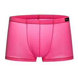 Panegy Herren Low Rise Transparent Glatt Nylon Boxershorts Boxer Briefs Unterwäsche Cool Atmungsaktiv Viskose Reizwäsche Herstellergröße M/EU S - Rosa von Panegy