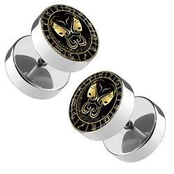 Piersando Ohrringe Fake Ohr Plug Flesh Tunnel Piercing Ohrstecker Stecker Stab Runde Platte mit Sternzeichen Motiv Tierkreiszeichen Silber Gold Zwillinge von Piersando